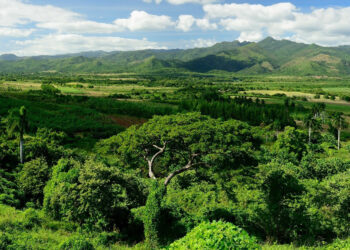 The Valley of the Sugar Mills