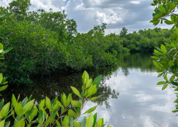 Varahicacos Ecological Reserve